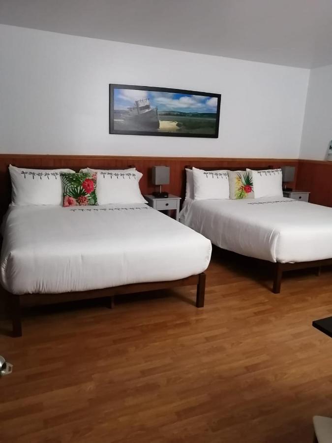 Hotel Fleurs Karaibes Saint-Alexandre-de-Kamouraska 외부 사진